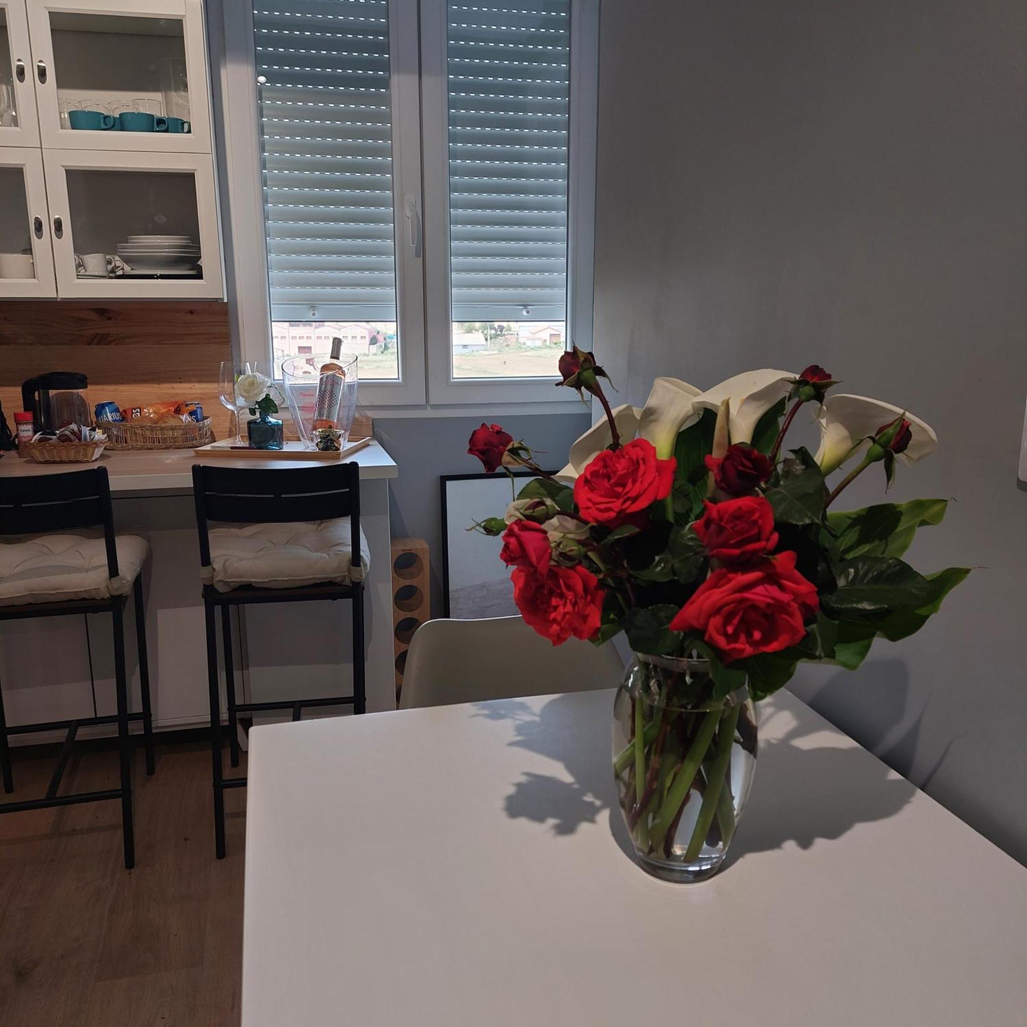 Apartamento Con Vistas A La Montana Oasis San Vicente de la Sonsierra Εξωτερικό φωτογραφία